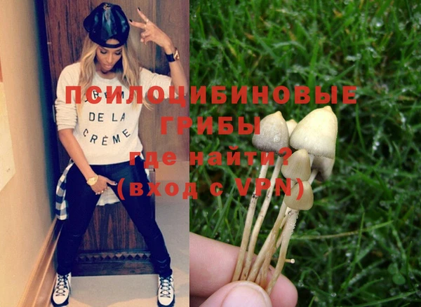 ПСИЛОЦИБИНОВЫЕ ГРИБЫ Киренск
