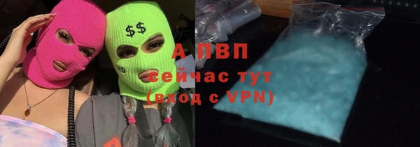 ПСИЛОЦИБИНОВЫЕ ГРИБЫ Киренск