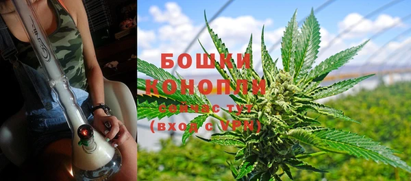 трава Кинешма