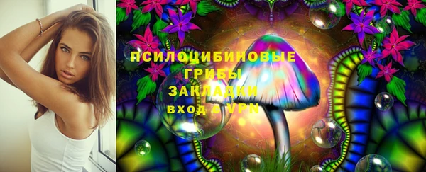 ПСИЛОЦИБИНОВЫЕ ГРИБЫ Козельск
