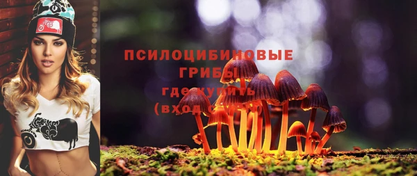 мдма Киреевск