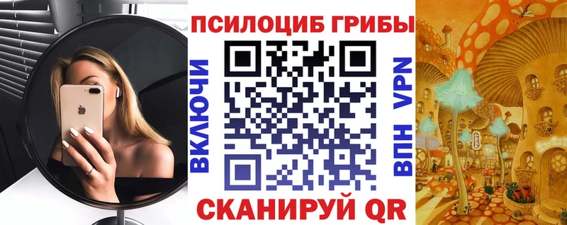 omg ONION Малая Вишера Псилоцибиновые грибы Psilocybine cubensis цены